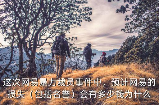 這次網(wǎng)易暴力裁員事件中，預(yù)計(jì)網(wǎng)易的損失（包括名譽(yù)）會(huì)有多少錢為什么