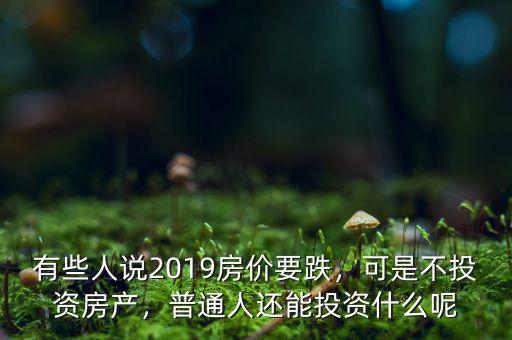 有些人說(shuō)2019房?jī)r(jià)要跌，可是不投資房產(chǎn)，普通人還能投資什么呢
