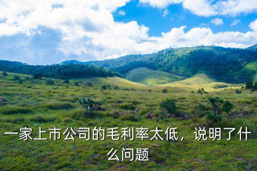 一家上市公司的毛利率太低，說明了什么問題