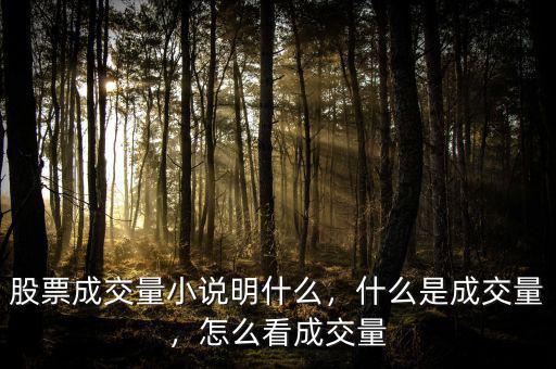 股票成交量小說(shuō)明什么，什么是成交量，怎么看成交量