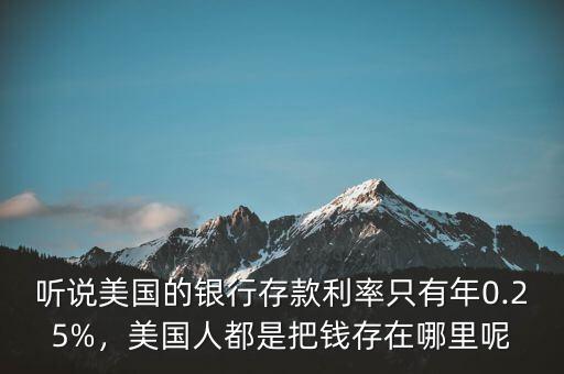 聽說美國(guó)的銀行存款利率只有年0.25%，美國(guó)人都是把錢存在哪里呢