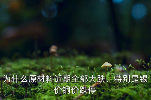 為什么原材料近期全部大跌，特別是錫價(jià)銅價(jià)跌停