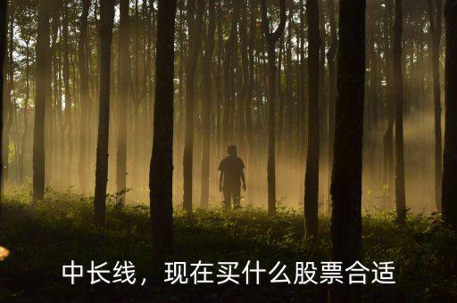 中長線，現(xiàn)在買什么股票合適