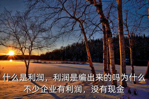 什么是利潤，利潤是編出來的嗎為什么不少企業(yè)有利潤，沒有現(xiàn)金