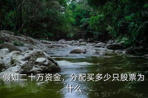 假如二十萬資金，分配買多少只股票為什么