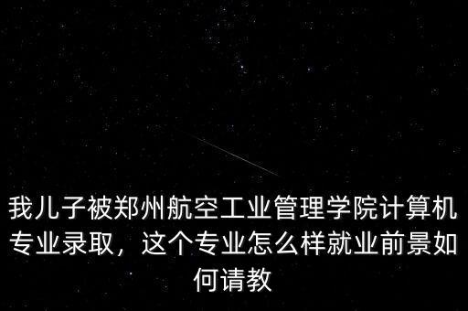 我兒子被鄭州航空工業(yè)管理學院計算機專業(yè)錄取，這個專業(yè)怎么樣就業(yè)前景如何請教