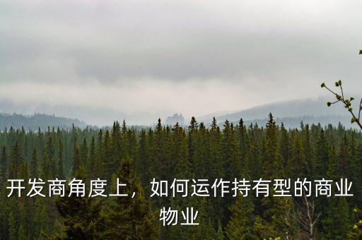 開發(fā)商角度上，如何運作持有型的商業(yè)物業(yè)