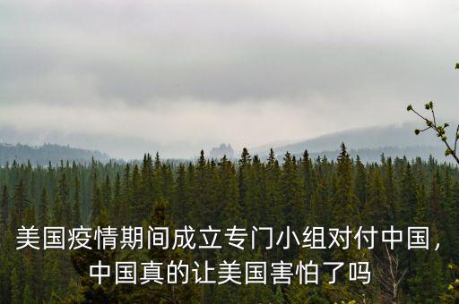 美國疫情期間成立專門小組對付中國，中國真的讓美國害怕了嗎