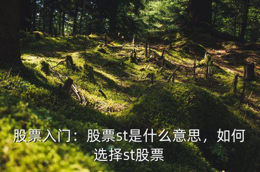 股票入門(mén)：股票st是什么意思，如何選擇st股票