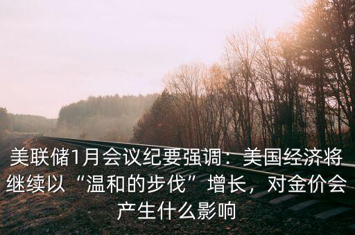 美聯(lián)儲(chǔ)1月會(huì)議紀(jì)要強(qiáng)調(diào)：美國(guó)經(jīng)濟(jì)將繼續(xù)以“溫和的步伐”增長(zhǎng)，對(duì)金價(jià)會(huì)產(chǎn)生什么影響