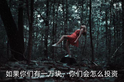 如果你們有一萬塊，你們會怎么投資