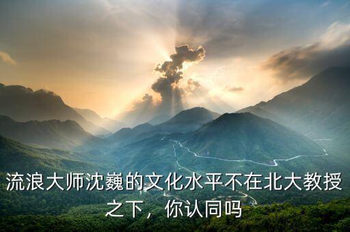 流浪大師沈巍的文化水平不在北大教授之下，你認(rèn)同嗎