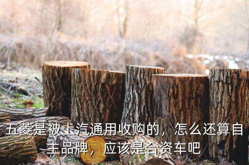 五菱是被上汽通用收購的，怎么還算自主品牌，應(yīng)該是合資車吧