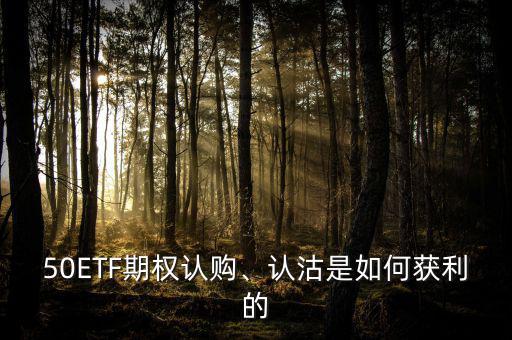 50ETF期權(quán)認(rèn)購(gòu)、認(rèn)沽是如何獲利的