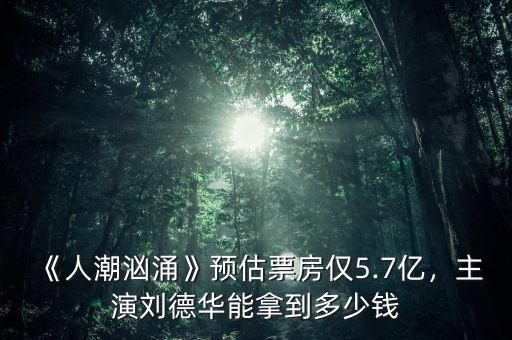 《人潮洶涌》預估票房僅5.7億，主演劉德華能拿到多少錢