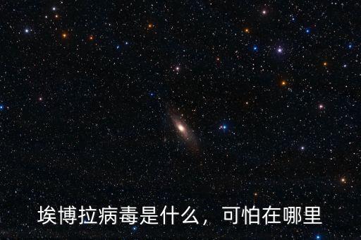 埃博拉病毒是什么，可怕在哪里