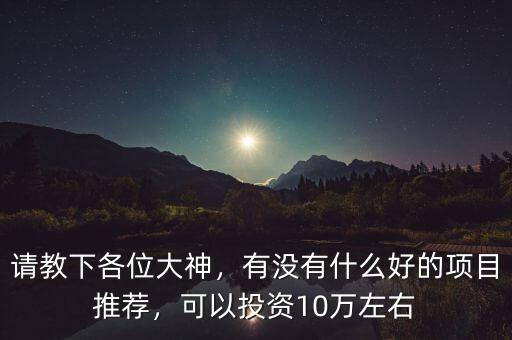 請教下各位大神，有沒有什么好的項目推薦，可以投資10萬左右