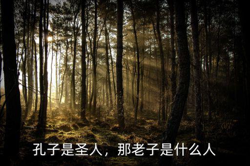 孔子是圣人，那老子是什么人