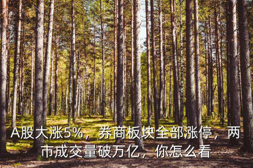 A股大漲5%，券商板塊全部漲停，兩市成交量破萬億，你怎么看