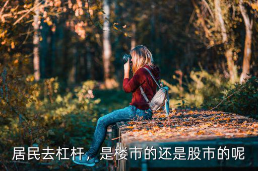 居民去杠桿，是樓市的還是股市的呢