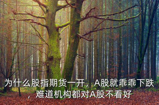為什么股指期貨一開，A股就乖乖下跌，難道機構(gòu)都對A股不看好