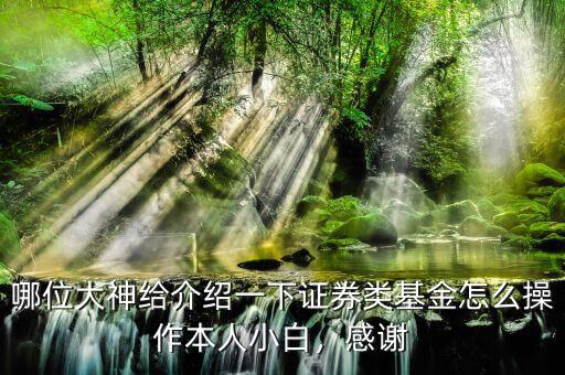 怎么操作基金,基金短線(xiàn)如何操作