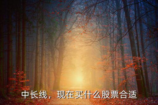 中長線，現(xiàn)在買什么股票合適