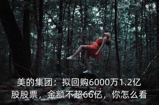 美的集團：擬回購6000萬1.2億股股票，金額不超66億，你怎么看
