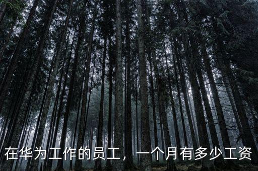 在華為工作的員工，一個月有多少工資