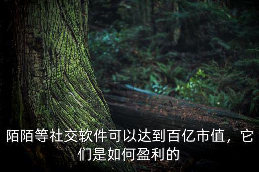 陌陌等社交軟件可以達(dá)到百億市值，它們是如何盈利的