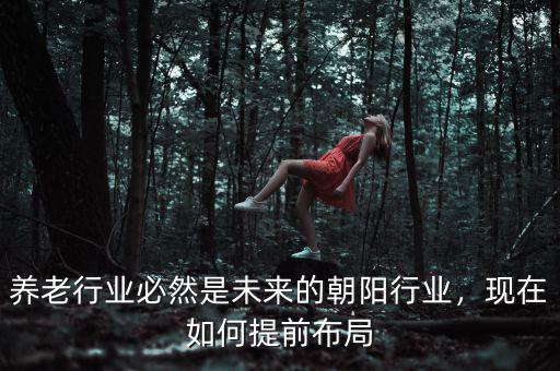 養(yǎng)老行業(yè)必然是未來的朝陽行業(yè)，現(xiàn)在如何提前布局