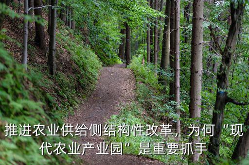 推進(jìn)農(nóng)業(yè)供給側(cè)結(jié)構(gòu)性改革，為何“現(xiàn)代農(nóng)業(yè)產(chǎn)業(yè)園”是重要抓手