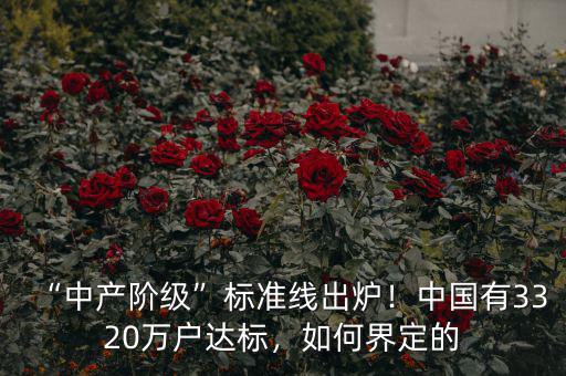 “中產(chǎn)階級(jí)”標(biāo)準(zhǔn)線出爐！中國有3320萬戶達(dá)標(biāo)，如何界定的