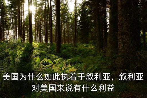 敘利亞為什么兵家必爭(zhēng)之地,美國為什么如此執(zhí)著于敘利亞