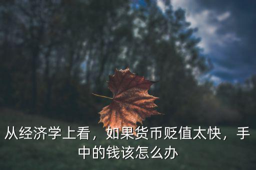 從經(jīng)濟(jì)學(xué)上看，如果貨幣貶值太快，手中的錢該怎么辦