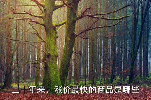 二十年來，漲價(jià)最快的商品是哪些