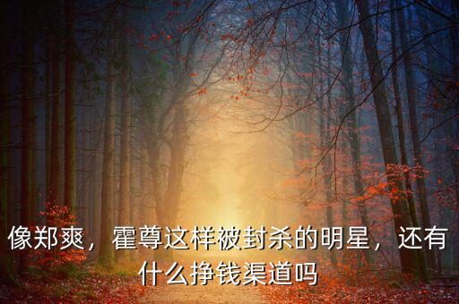 像鄭爽，霍尊這樣被封殺的明星，還有什么掙錢渠道嗎