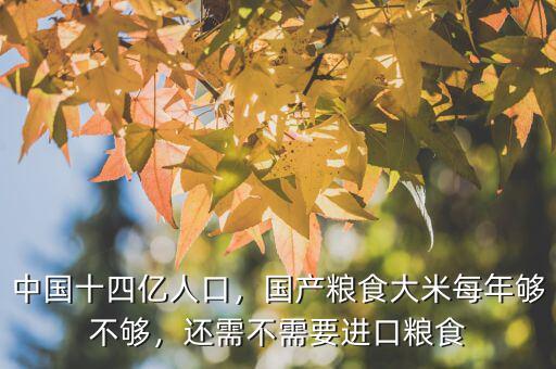 中國十四億人口，國產(chǎn)糧食大米每年夠不夠，還需不需要進(jìn)口糧食