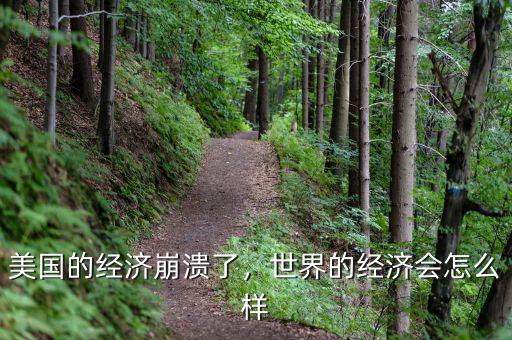 美國的經(jīng)濟崩潰了，世界的經(jīng)濟會怎么樣