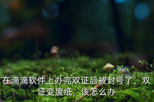 在滴滴軟件上辦完雙證后被封號(hào)了，雙證變廢紙，該怎么辦
