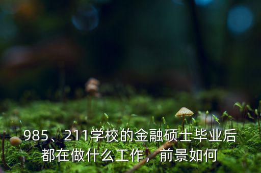 985、211學(xué)校的金融碩士畢業(yè)后都在做什么工作，前景如何