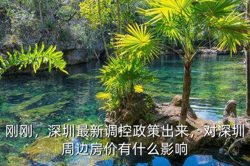 剛剛，深圳最新調(diào)控政策出來(lái)，對(duì)深圳周邊房?jī)r(jià)有什么影響