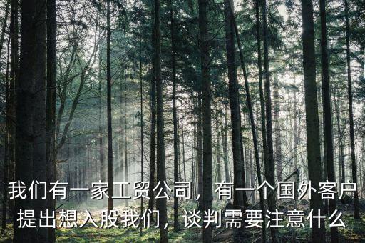 我們有一家工貿(mào)公司，有一個(gè)國(guó)外客戶提出想入股我們，談判需要注意什么