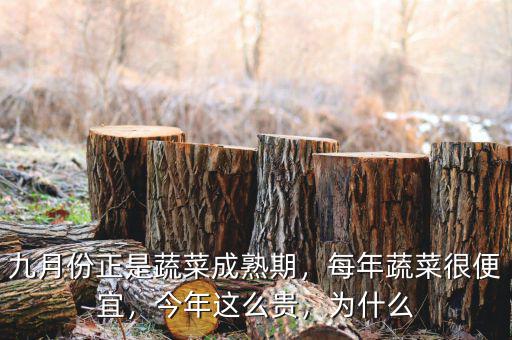 九月份正是蔬菜成熟期，每年蔬菜很便宜，今年這么貴，為什么