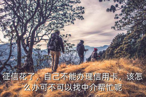 征信花了，自己不能辦理信用卡，該怎么辦可不可以找中介幫忙呢