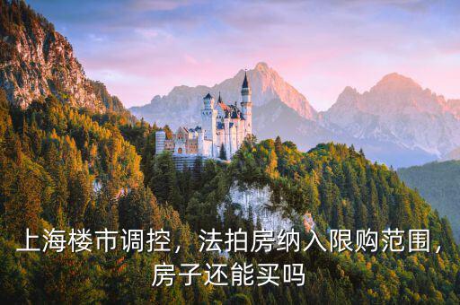 上海樓市調(diào)控，法拍房納入限購范圍，房子還能買嗎