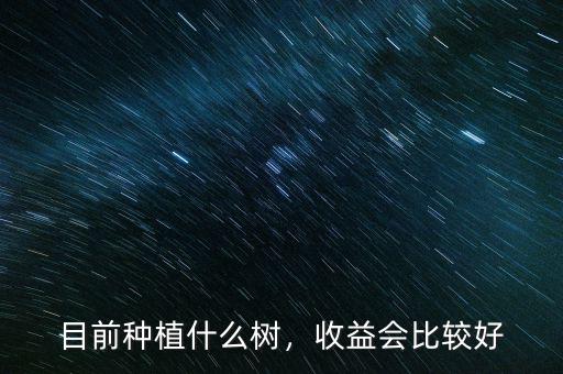 目前種植什么樹(shù)，收益會(huì)比較好