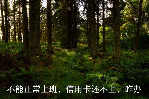 不能正常上班，信用卡還不上，咋辦