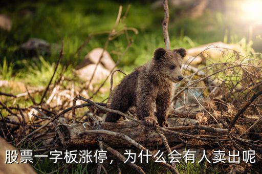 股票一字板漲停，為什么會有人賣出呢
