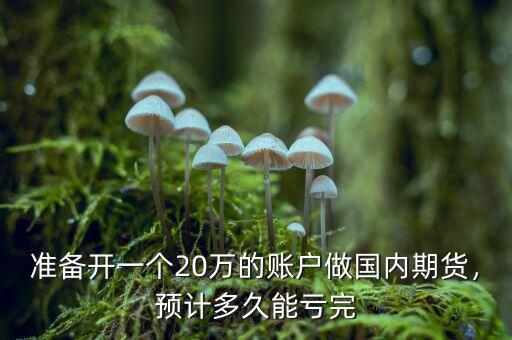 準(zhǔn)備開一個(gè)20萬(wàn)的賬戶做國(guó)內(nèi)期貨，預(yù)計(jì)多久能虧完